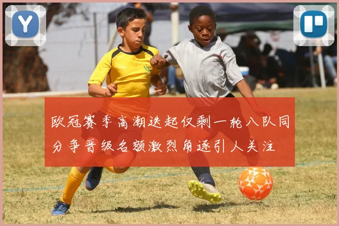 欧冠赛季高潮迭起仅剩一轮八队同分争晋级名额激烈角逐引人关注