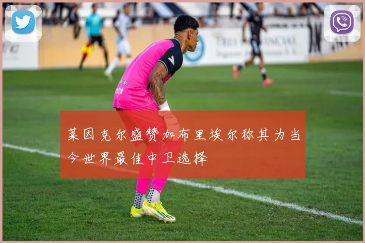 莱因克尔盛赞加布里埃尔称其为当今世界最佳中卫选择
