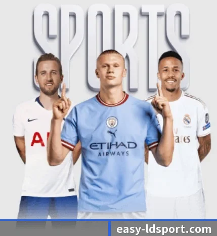 我们在做什么 - LDSPORTS